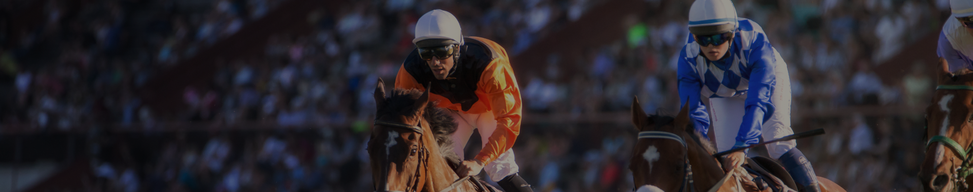 Horse races